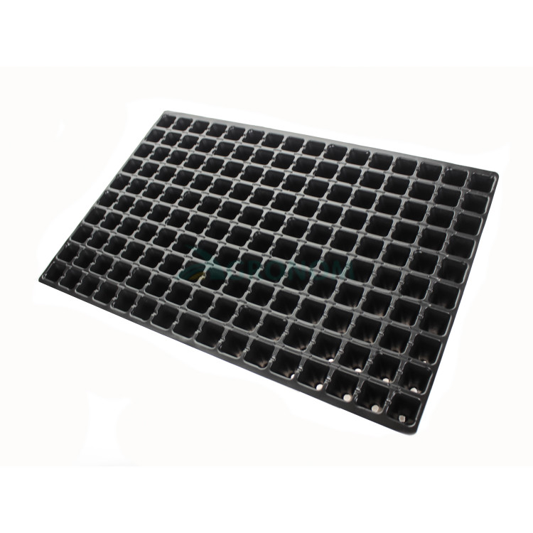 Касета для розсади 160 комірок Roko Польща 600*400 (в ящику 100 шт)